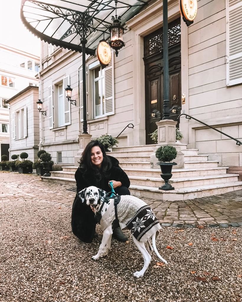 Como viajar de carro com o seu cachorro