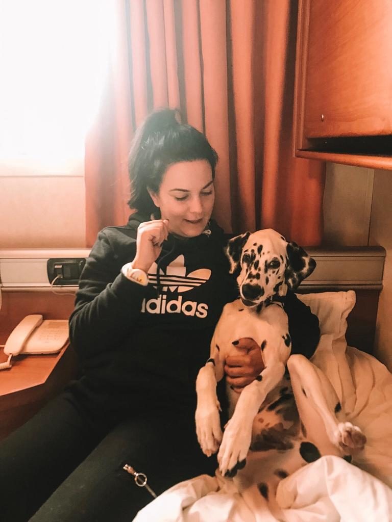 Como viajar de carro com o seu cachorro
