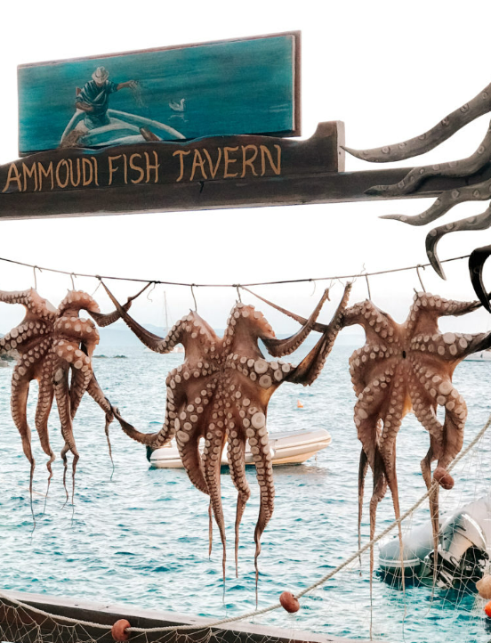 Varal de polvos do restaurant Ammoudi Fish Tavern